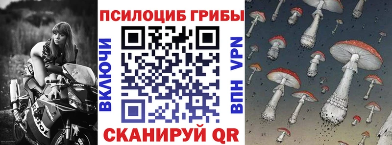 где купить   Южа  Псилоцибиновые грибы мицелий 